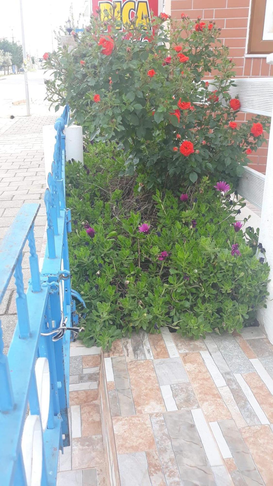 Vila Shuka Ksamil Sarandë エクステリア 写真